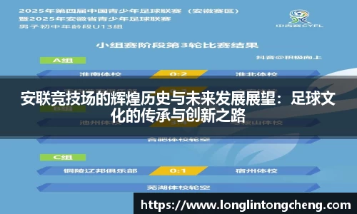 安联竞技场的辉煌历史与未来发展展望：足球文化的传承与创新之路